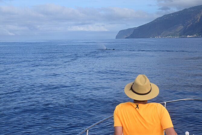 Whale and Dolphin Watching Tour in Madeira - Timing matters: which departures include whale watching