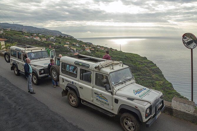 Wine + Dolphin Watching - Full Day- Shared Tour - São Vicente: wine production, not just wine drinking
