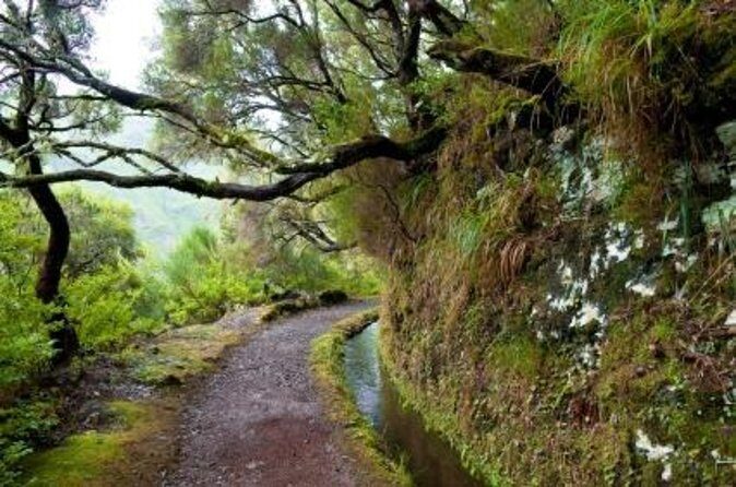 Wine Tasting Experience in Boaventura, Madeira North Coast - The sustainable agritourism setup: more than a scenic stop