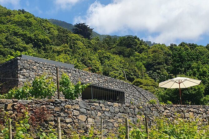 Wine Tasting Experience in Boaventura, Madeira North Coast - Price and value: is $54.06 really fair here?