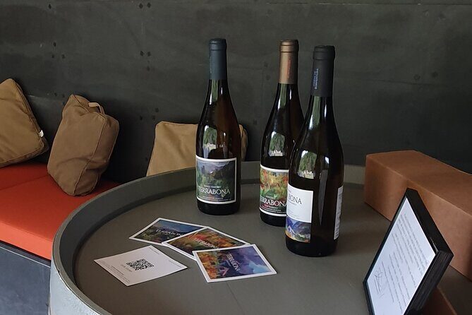 Wine Tasting Experience in Boaventura, Madeira North Coast - Vineyards and boutique winery: learning the whole winemaking process