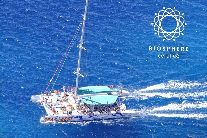 Wines Tasting Experience and Skywalk with Dolphin Watching - Madeira’s 4x4 wine-and-skywalk day has a strong rhythm