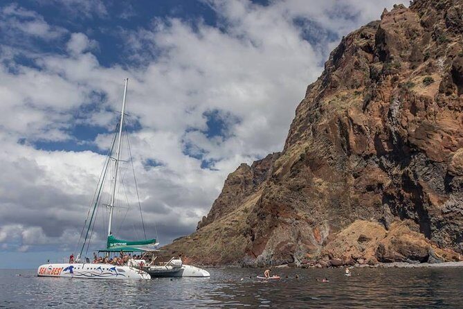 Wines Tasting Experience and Skywalk with Dolphin Watching - Onboard Wi-Fi, disinfected vehicles, and “real” guiding